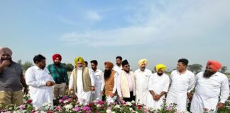 ਪੰਜਾਬ ਨੂੰ ਬਾਗਬਾਨੀ ‘ਚ ਮੋਹਰੀ ਸੂਬਾ ਬਣਾਉਣ ਲਈ ਮੰਤਰੀ ਜੌੜਾਮਾਜਰਾ ਵੱਲੋਂ ਸੂਬੇ ਭਰ ਦੇ ਦੌਰੇ ਸ਼ੁਰੂ