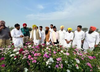 ਪੰਜਾਬ ਨੂੰ ਬਾਗਬਾਨੀ ‘ਚ ਮੋਹਰੀ ਸੂਬਾ ਬਣਾਉਣ ਲਈ ਮੰਤਰੀ ਜੌੜਾਮਾਜਰਾ ਵੱਲੋਂ ਸੂਬੇ ਭਰ ਦੇ ਦੌਰੇ ਸ਼ੁਰੂ