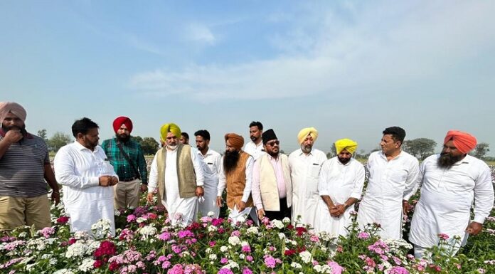 ਪੰਜਾਬ ਨੂੰ ਬਾਗਬਾਨੀ ‘ਚ ਮੋਹਰੀ ਸੂਬਾ ਬਣਾਉਣ ਲਈ ਮੰਤਰੀ ਜੌੜਾਮਾਜਰਾ ਵੱਲੋਂ ਸੂਬੇ ਭਰ ਦੇ ਦੌਰੇ ਸ਼ੁਰੂ