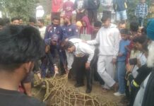 ਮਕਸੂਦਾਂ ‘ਚ ਆਇਆ ਸਾਂਬਰ, ਭਾਰੀ ਮੁਸ਼ੱਕਤ ਤੋਂ ਬਾਅਦ ਫਾਇਰ ਬ੍ਰਿਗੇਡ ਦੇ ਮੁਲਾਜ਼ਮਾਂ ਕੀਤਾ ਕਾਬੂ