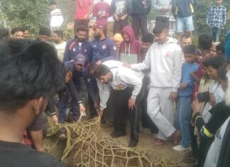 ਮਕਸੂਦਾਂ ‘ਚ ਆਇਆ ਸਾਂਬਰ, ਭਾਰੀ ਮੁਸ਼ੱਕਤ ਤੋਂ ਬਾਅਦ ਫਾਇਰ ਬ੍ਰਿਗੇਡ ਦੇ ਮੁਲਾਜ਼ਮਾਂ ਕੀਤਾ ਕਾਬੂ