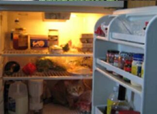 ਸਾਵਧਾਨ ! ਫਰਿੱਜ ‘ਚ ਰੱਖਿਆ ਖਾਣਾ ਤੁਹਾਨੂੰ ਕਰੇਗਾ ਬਿਮਾਰ, ਜਾਣੋ ਕਾਰਨ