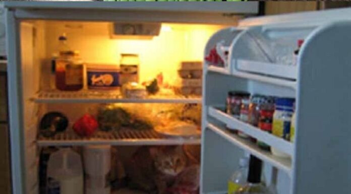 ਸਾਵਧਾਨ ! ਫਰਿੱਜ ‘ਚ ਰੱਖਿਆ ਖਾਣਾ ਤੁਹਾਨੂੰ ਕਰੇਗਾ ਬਿਮਾਰ, ਜਾਣੋ ਕਾਰਨ