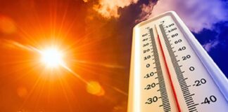 ਪੰਜਾਬ ‘ਚ ਚੜ੍ਹਨ ਲੱਗਾ ਪਾਰਾ ! ਆਉਣ ਵਾਲੇ ਦਿਨਾਂ ‘ਚ ਗਰਮੀ ਕੱਢੇਗੀ ਵੱਟ