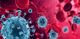 ਪੰਜਾਬ ‘ਚ ਤੇਜ਼ੀ ਨਾਲ ਵੱਧ ਰਹੇ ਨੇ ਕੋਰੋਨਾ ਪੀੜਤ, ਇਕ ਦਿਨ ‘ਚ 271 ਮਰੀਜ਼ ਨਵੇਂ ਮਿਲੇ