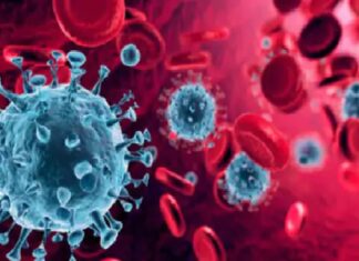 ਪੰਜਾਬ ‘ਚ ਤੇਜ਼ੀ ਨਾਲ ਵੱਧ ਰਹੇ ਨੇ ਕੋਰੋਨਾ ਪੀੜਤ, ਇਕ ਦਿਨ ‘ਚ 271 ਮਰੀਜ਼ ਨਵੇਂ ਮਿਲੇ