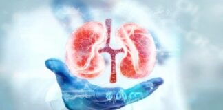 ਪੰਜਾਬ ਕਿਡਨੀ ਕਾਂਡ ‘ਚ ਐਸਆਈਟੀ ਨੇ ਕੀਤਾ ਖੁਲਾਸਾ, 3 ਹੋਰ ਫਰਜ਼ੀ ਮਾਮਲੇ ਆਏ ਸਾਹਮਣੇ