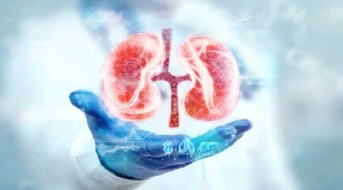 ਪੰਜਾਬ ਕਿਡਨੀ ਕਾਂਡ ‘ਚ ਐਸਆਈਟੀ ਨੇ ਕੀਤਾ ਖੁਲਾਸਾ, 3 ਹੋਰ ਫਰਜ਼ੀ ਮਾਮਲੇ ਆਏ ਸਾਹਮਣੇ