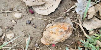 ਵੱਡੀ ਖਬਰ : ਤਰਨਤਾਰਨ ਗੁਰਦੁਆਰਾ ਸਾਹਿਬ ਦੀ ਪਾਰਕਿੰਗ ’ਚੋਂ ਮਿਲਿਆ ਬੰਬ, ਦਹਿਸ਼ਤ ਦਾ ਮਾਹੌਲ