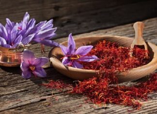 ਚੰਗੀ ਖਬਰ : ਪੰਜਾਬ ਦੇ ਕਿਸਾਨ ਵੀ ਕੇਸਰ ਦੀ ਖੇਤੀ ਕਰ ਕੇ ਬਣ ਸਕਣਗੇ ਅਮੀਰ, 2 ਸਾਲ ‘ਚ ਤਿਆਰ ਹੋਵੇਗੀ ਫਸਲ