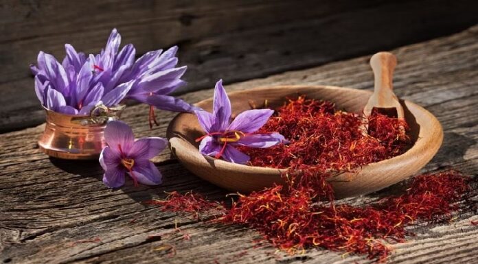 ਚੰਗੀ ਖਬਰ : ਪੰਜਾਬ ਦੇ ਕਿਸਾਨ ਵੀ ਕੇਸਰ ਦੀ ਖੇਤੀ ਕਰ ਕੇ ਬਣ ਸਕਣਗੇ ਅਮੀਰ, 2 ਸਾਲ ‘ਚ ਤਿਆਰ ਹੋਵੇਗੀ ਫਸਲ