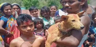 ਓਡੀਸ਼ਾ ‘ਚ 2 ਛੋਟੇ ਬੱਚਿਆਂ ਦਾ ਕੁੱਤਿਆਂ ਨਾਲ ਕਰਵਾ ਗਿਆ ਵਿਆਹ, ਵਜ੍ਹਾ ਜਾਣ ਕੇ ਤੁਸੀਂ ਵੀ ਹੋ ਜਾਵੋਗੇ ਹੈਰਾਨ