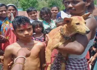 ਓਡੀਸ਼ਾ ‘ਚ 2 ਛੋਟੇ ਬੱਚਿਆਂ ਦਾ ਕੁੱਤਿਆਂ ਨਾਲ ਕਰਵਾ ਗਿਆ ਵਿਆਹ, ਵਜ੍ਹਾ ਜਾਣ ਕੇ ਤੁਸੀਂ ਵੀ ਹੋ ਜਾਵੋਗੇ ਹੈਰਾਨ