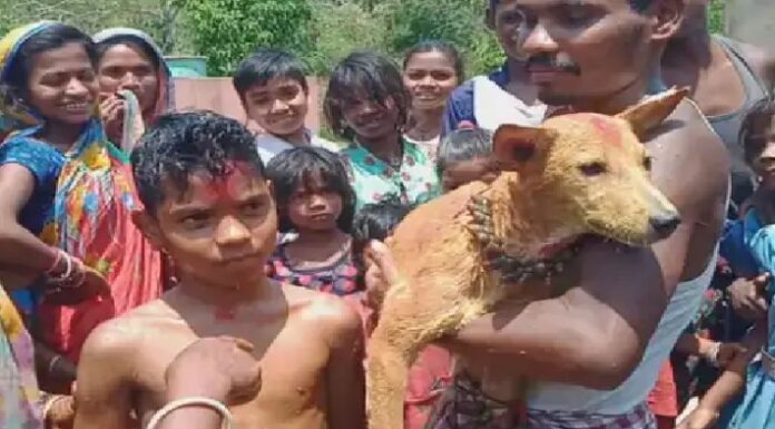 ਓਡੀਸ਼ਾ ‘ਚ 2 ਛੋਟੇ ਬੱਚਿਆਂ ਦਾ ਕੁੱਤਿਆਂ ਨਾਲ ਕਰਵਾ ਗਿਆ ਵਿਆਹ, ਵਜ੍ਹਾ ਜਾਣ ਕੇ ਤੁਸੀਂ ਵੀ ਹੋ ਜਾਵੋਗੇ ਹੈਰਾਨ
