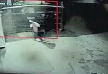 ਅਨੋਖੀ ਚੋਰੀ : ਪੈਸਿਆਂ ਵਾਲੇ ਗੱਲੇ ਨੂੰ ਹੱਥ ਨੀਂ ਲਾਇਆ; ਜ਼ਿੰਦਾ ਮੁਰਗਾ ਤੇ ਕੱਟਿਆ ਮੀਟ ਲੈ ਗਏ ਚੋਰ, ਘਟਨਾ CCTV ‘ਚ ਕੈਦ