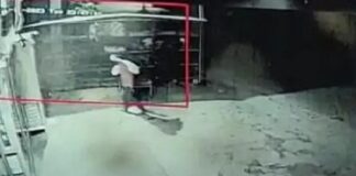 ਅਨੋਖੀ ਚੋਰੀ : ਪੈਸਿਆਂ ਵਾਲੇ ਗੱਲੇ ਨੂੰ ਹੱਥ ਨੀਂ ਲਾਇਆ; ਜ਼ਿੰਦਾ ਮੁਰਗਾ ਤੇ ਕੱਟਿਆ ਮੀਟ ਲੈ ਗਏ ਚੋਰ, ਘਟਨਾ CCTV ‘ਚ ਕੈਦ