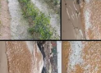 ਅਪ੍ਰੈਲ ਮਹੀਨੇ ਅਸਮਾਨੋਂ ਵਰ੍ਹੇ ਗੜਿਆਂ ਨੇ ਸੁੱਕਣੇ ਪਾਏ ਕਿਸਾਨ, ਨੁਕਸਾਨੀ ਗਈ ਖੇਤਾਂ ‘ਚ ਖੜ੍ਹੀ ਤੇ ਮੰਡੀਆਂ ‘ਚ ਪਈ ਫਸਲ