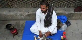 ਹਾਲ-ਏ-ਪਾਕਿਸਤਾਨ : ਦੋ ਡੰਗ ਦੀ ਰੋਟੀ ਦੇ ਜੁਗਾੜ ਦੀ ਥਾਂ ਕਿਰਲੀ ਤੇ ਬਿੱਛੂ ਪੀਸ ਕੇ ਬਣਾਈ ਵਿਆਗਰਾ ਪਿੱਛੇ ਪਾਗਲ ਹੋਏ ਲੋਕ