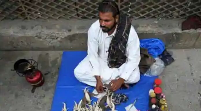 ਹਾਲ-ਏ-ਪਾਕਿਸਤਾਨ : ਦੋ ਡੰਗ ਦੀ ਰੋਟੀ ਦੇ ਜੁਗਾੜ ਦੀ ਥਾਂ ਕਿਰਲੀ ਤੇ ਬਿੱਛੂ ਪੀਸ ਕੇ ਬਣਾਈ ਵਿਆਗਰਾ ਪਿੱਛੇ ਪਾਗਲ ਹੋਏ ਲੋਕ