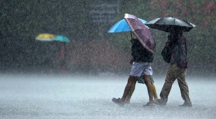 ਪੰਜਾਬ ਦੇ ਇਨ੍ਹਾਂ ਜ਼ਿਲਿਆਂ ‘ਚ ਪਵੇਗਾ ਮੀਂਹ, ਮੌਸਮ ਵਿਭਾਗ ਨੇ ਅਲਰਟ ਕੀਤਾ ਜਾਰੀ