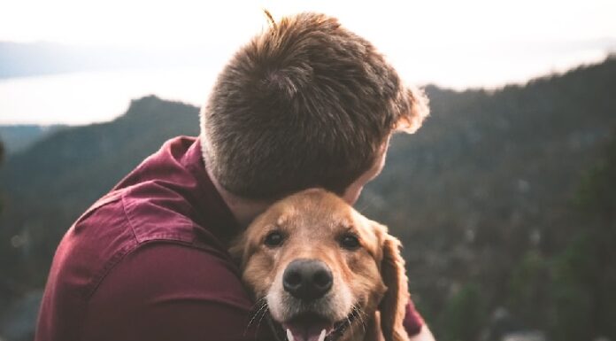 ਕੁੱਤੇ ਨੂੰ ਲੈ ਕੇ ਹੋਇਆ ਝਗੜਾ, ਨੌਜਵਾਨ ਨੇ ਪ੍ਰੇਮਿਕਾ ਦੀ ਮਾਂ ਨੂੰ ਮਾਰ ‘ਤੀ ਗੋਲੀ