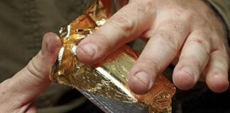 ਸ਼ਾਤਿਰਾਨਾ ਠੱਗੀ : ਨਕਲੀ ਸੋਨਾ ਦੇ ਕੇ ਬੈਂਕ ਤੋਂ ਲਿਆ 7 ਲੱਖ ਦਾ ਕਰਜ਼ਾ, ਪੜ੍ਹੋ ਕੌਣ ਨਿਕਲਿਆ ਮਾਸਟਰਮਾਈਂਡ