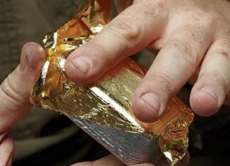 ਸ਼ਾਤਿਰਾਨਾ ਠੱਗੀ : ਨਕਲੀ ਸੋਨਾ ਦੇ ਕੇ ਬੈਂਕ ਤੋਂ ਲਿਆ 7 ਲੱਖ ਦਾ ਕਰਜ਼ਾ, ਪੜ੍ਹੋ ਕੌਣ ਨਿਕਲਿਆ ਮਾਸਟਰਮਾਈਂਡ