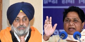 ਵੱਡੀ ਖਬਰ : ਅਕਾਲੀ ਦਲ ਤੇ ਬਸਪਾ ਮਿਲ ਕੇ ਲੜੇਗੀ ਜਲੰਧਰ ਲੋਕ ਸਭਾ ਜ਼ਿਮਨੀ ਚੋਣ