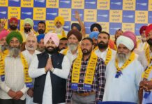 ਬ੍ਰੇਕਿੰਗ : ਸ਼ਾਹਕੋਟ ‘ਚ ਕਾਂਗਰਸ ਤੇ ਅਕਾਲੀ ਦਲ ਨੂੰ ਵੱਡਾ ਝਟਕਾ, 24 ਸਰਪੰਚ ਆਪ ‘ਚ ਸ਼ਾਮਲ