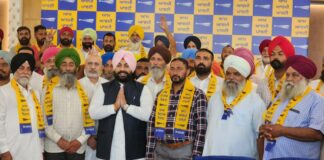 ਬ੍ਰੇਕਿੰਗ : ਸ਼ਾਹਕੋਟ ‘ਚ ਕਾਂਗਰਸ ਤੇ ਅਕਾਲੀ ਦਲ ਨੂੰ ਵੱਡਾ ਝਟਕਾ, 24 ਸਰਪੰਚ ਆਪ ‘ਚ ਸ਼ਾਮਲ