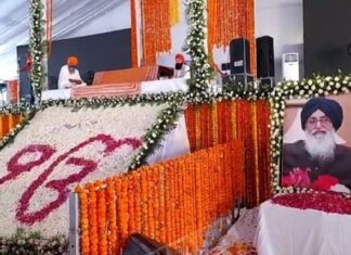 ਪਿਤਾ ਪ੍ਰਕਾਸ਼ ਸਿੰਘ ਬਾਦਲ ਦੀ ਫੋਟੋ ਅੱਗੇ ਭਾਵੁਕ ਹੋਏ ਸੁਖਬੀਰ ਬਾਦਲ, ਭਰੇ ਮਨ ਨਾਲ ਟੇਕਿਆ ਮੱਥਾ