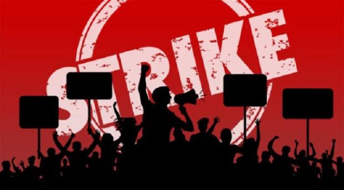 ਤਹਿਸੀਲਦਾਰ, ਨਾਇਬ ਤਹਿਸੀਲਦਾਰ ਤੇ ਪਟਵਾਰੀ ਹੜਤਾਲ ‘ਤੇ, ਤਹਿਸੀਲ ‘ਚ ਨਹੀਂ ਹੋਵੇਗਾ ਕੋਈ ਕੰਮ