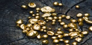 ਹੈਦਰਾਬਾਦ ਏਅਰਪੋਰਟ ‘ਤੇ ਰਿਆਦ ਤੋਂ ਆਏ ਯਾਤਰੀ ਕੋਲੋਂ 67 ਲੱਖ ਦਾ ਸੋਨਾ ਕੀਤਾ ਬਰਾਮਦ