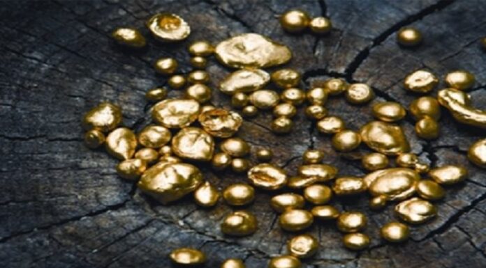 ਹੈਦਰਾਬਾਦ ਏਅਰਪੋਰਟ ‘ਤੇ ਰਿਆਦ ਤੋਂ ਆਏ ਯਾਤਰੀ ਕੋਲੋਂ 67 ਲੱਖ ਦਾ ਸੋਨਾ ਕੀਤਾ ਬਰਾਮਦ