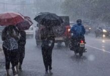 Punjab Weather : ਪੰਜਾਬ ‘ਚ ਚਲਣਗੀਆਂ ਤੇਜ਼ ਹਵਾਵਾਂ ਤੇ ਪਵੇਗਾ ਭਾਰੀ ਮੀਂਹ, 5 ਮਈ ਤੱਕ ਯੈਲੋ ਅਲਰਟ ਜਾਰੀ