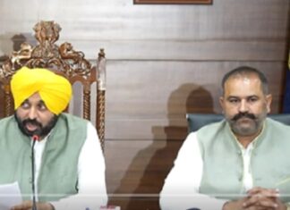 ਸੁਸ਼ੀਲ ਰਿੰਕੂ ਦੇਸ਼ ‘ਚੋਂ AAP ਦੇ ਇਕਲੌਤੇ MP, ਲੋਕਾਂ ਨੂੰ ਇਨ੍ਹਾਂ ਤੋਂ ਬਹੁਤ ਉਮੀਦਾਂ : CM