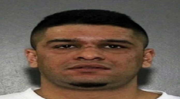 ਕੈਨੇਡਾ : ਗੈਂਗਸਟਰ ਅਮਰਪ੍ਰੀਤ ਸਮਰਾ ਦਾ ਗੋਲੀਆਂ ਮਾਰ ਕੇ ਕਤਲ