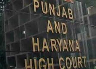 ਹਾਈਕੋਰਟ ਦਾ ਵੱਡਾ ਫ਼ੈਸਲਾ ! ਜੇ ਵਿਧਵਾ ਦੂਜਾ ਵਿਆਹ ਕਰਦੀ ਹੈ ਤਾਂ ਵੀ ਫੈਮਿਲੀ ਪੈਨਸ਼ਨ ਦੀ ਹੱਕਦਾਰ