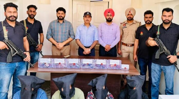ਬ੍ਰੇਕਿੰਗ : ਲਾਰੈਂਸ ਬਿਸ਼ਨੋਈ ਗੈਂਗ ਦੇ 4 ਸ਼ੂਟਰ ਹਥਿਆਰਾਂ ਸਮੇਤ ਗ੍ਰਿਫਤਾਰ, ਕਈ ਅਪਰਾਧਿਕ ਕੇਸਾਂ ‘ਚ ਹਨ ਸ਼ਾਮਲ