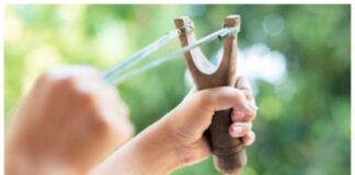 13 ਸਾਲਾ ਭਰਾ ਨੇ ਗੁਲੇਲ ਨਾਲ ਵਿੰਨ੍ਹੀ ਹਮਲਾਵਰ ਦੀ ਛਾਤੀ, 8 ਸਾਲਾ ਭੈਣ ਨੂੰ ਕਰਨ ਆਇਆ ਸੀ ਕਿਡਨੈਪ