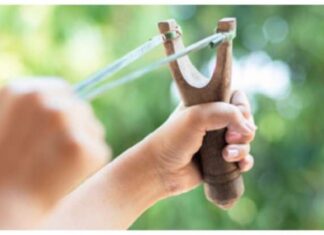 13 ਸਾਲਾ ਭਰਾ ਨੇ ਗੁਲੇਲ ਨਾਲ ਵਿੰਨ੍ਹੀ ਹਮਲਾਵਰ ਦੀ ਛਾਤੀ, 8 ਸਾਲਾ ਭੈਣ ਨੂੰ ਕਰਨ ਆਇਆ ਸੀ ਕਿਡਨੈਪ