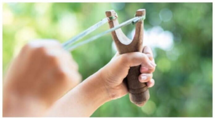 13 ਸਾਲਾ ਭਰਾ ਨੇ ਗੁਲੇਲ ਨਾਲ ਵਿੰਨ੍ਹੀ ਹਮਲਾਵਰ ਦੀ ਛਾਤੀ, 8 ਸਾਲਾ ਭੈਣ ਨੂੰ ਕਰਨ ਆਇਆ ਸੀ ਕਿਡਨੈਪ