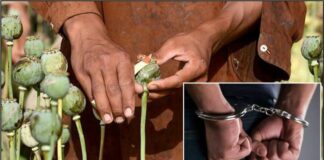 ਜਲੰਧਰ : ਮੋਟਰਸਾਈਕਲ ‘ਤੇ ਕੱਪੜੇ ਵੇਚਣ ਵਾਲਾ ਨਿਕਲਿਆ ਨਸ਼ਾ ਤਸਕਰ, ਇੰਝ ਗਿਆ ਫੜਿਆ