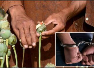 ਜਲੰਧਰ : ਮੋਟਰਸਾਈਕਲ ‘ਤੇ ਕੱਪੜੇ ਵੇਚਣ ਵਾਲਾ ਨਿਕਲਿਆ ਨਸ਼ਾ ਤਸਕਰ, ਇੰਝ ਗਿਆ ਫੜਿਆ