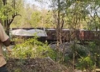 ਓਡੀਸ਼ਾ ‘ਚ ਇਕ ਹੋਰ ਟ੍ਰੇਨ ਹਾਦਸਾ, ਪਟੜੀ ਤੋਂ ਉਤਰੀਆਂ ਮਾਲ ਗੱਡੀ ਦੀਆਂ 5 ਬੋਗੀਆਂ