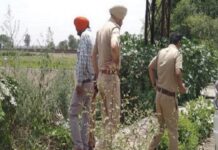 ਲੁਧਿਆਣਾ ‘ਚ ਕੈਸ਼ ਵੈਨ ਲੁੱਟ ਦਾ ਮਾਮਲਾ ਸੁਲਝਿਆ : ਕੰਪਨੀ ਦਾ ਡਰਾਈਵਰ ਹੀ ਨਿਕਲਿਆ ਮਾਸਟਰਮਾਈਂਡ, ਮਹਿਲਾ ਦੋਸਤ ਨਾਲ ਰਚੀ ਸੀ ਸਾਜ਼ਿਸ਼