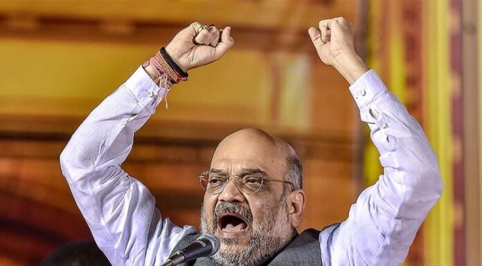 ਅਮਿਤ ਸ਼ਾਹ ਨੇ ਭਗਵੰਤ ਮਾਨ ‘ਤੇ ਸਾਧਿਆ ਨਿਸ਼ਾਨਾ, ਕਿਹਾ- ਉਹ ਤਾਂ ਕੇਜਰੀਵਾਲ ਦੇ ਪਾਇਲਟ ਹਨ