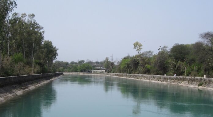 ਮਾਨਸਾ : ਨਹਿਰ ‘ਚ ਨਹਾਉਣ ਗਏ ਮਾਮਾ-ਭਾਣਜਾ ਰੁੜ੍ਹੇ, ਮਾਮੇ ਦੀ ਲਾਸ਼ ਹੋਈ ਬਰਾਮਦ