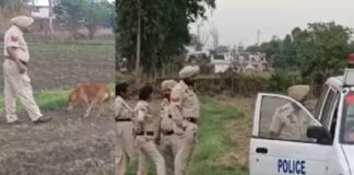 ਹੁਸ਼ਿਆਰਪੁਰ ਦੇ ਇਸ ਇਲਾਕੇ ‘ਚੋਂ ਮਿਲਿਆ ਵੱਡ-ਅਕਾਰੀ ਜ਼ਿੰਦਾ ਬੰਬ, ਦਹਿਸ਼ਤਜ਼ਦਾ ਹੋਏ ਲੋਕ