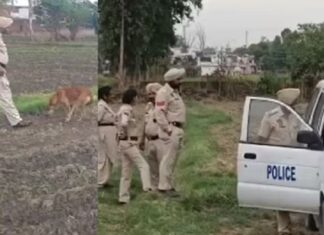 ਹੁਸ਼ਿਆਰਪੁਰ ਦੇ ਇਸ ਇਲਾਕੇ ‘ਚੋਂ ਮਿਲਿਆ ਵੱਡ-ਅਕਾਰੀ ਜ਼ਿੰਦਾ ਬੰਬ, ਦਹਿਸ਼ਤਜ਼ਦਾ ਹੋਏ ਲੋਕ